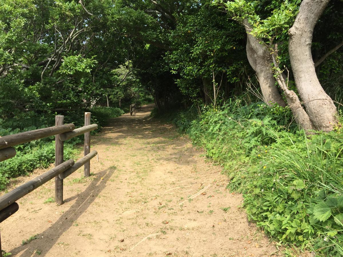Tonosaki Bungalow & Bbq Tsushima  Buitenkant foto